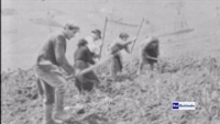 "1° Maggio al Quirinale una storia del lavoro per immagini "