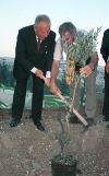 Visita di Stato in Israele - Messa a dimora di un ulivo nella Foresta della Pace