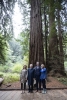 Il Presidente Sergio Mattarella al Parco Nazionale Muir Woods,con il Governatore della California Gavin Newsom,in occasione della Visita Ufficiale negli Stati Uniti d'America 

