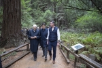 Il Presidente Sergio Mattarella al Parco Nazionale Muir Woods,con il Governatore della California Gavin Newsom, in occasione della Visita Ufficiale negli Stati Uniti d'America 

