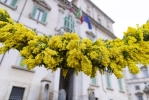 Il palazzo del Quirinale in occasione della Giornata Internazionale della Donna